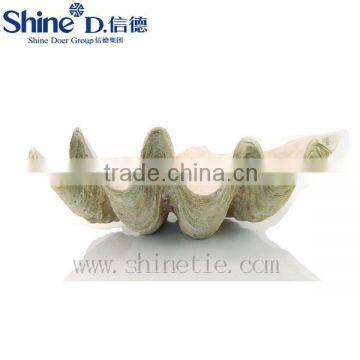 polyresin big coral plate home furniture accessories