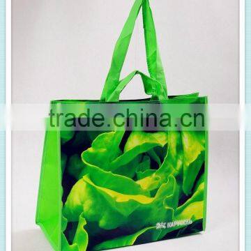 China hot sale double handle tote bag, non woven shopping bags with lsminstion, fashion women bag