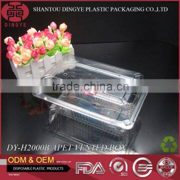 Take Away Food Packaging Container Fruit Vegetable APET Material DY-H2000B