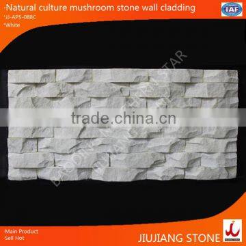 Natural glued culture mushroom stone wall cladding