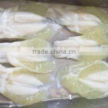 2016 Best selling Frozen Illex Squid Roe Grade A