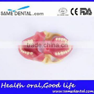 NISSIN Anesthesia Extraction Model School Teaching Demonstration