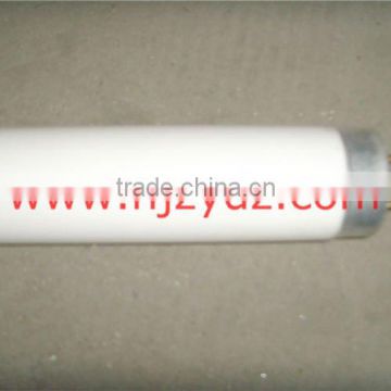 T12 fluorescent lamp