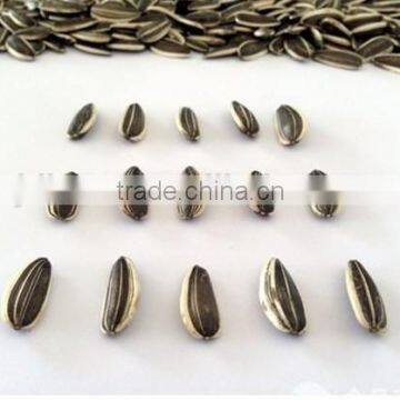 Best Quality Of Sunflower Seeds Big Size