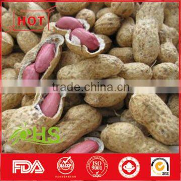 Blanched peanut kernel/Peanuts in red shell/Peanut kernels