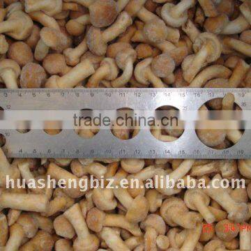 Fresh IQF pholiota nameko