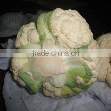 Fresh Chinese cauliflower