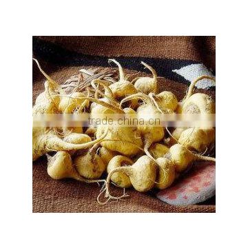 Qingdao BNP Sells Best 100% Natural Maca Root Extract--maca extract macamides and macaenes