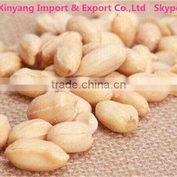 kk Peanuts/blanched Peanut Kernel in Long Shape/shandong Blanched Peanut 25/29