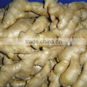 Fresh Air Dried Ginger photo-4