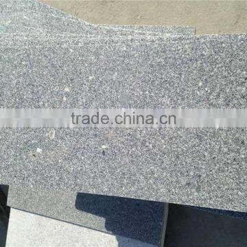 Exotic Granite Slab /outdoor granite tile