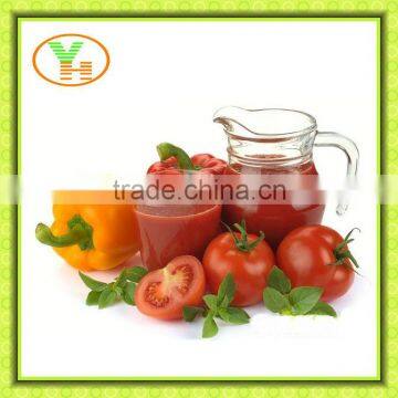 70G-4500G China Hot Sell Canned tomato paste,process paste tomato