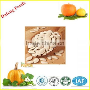 Hot Sale Chinese ISO9001 HACCP Pumpkin Seeds