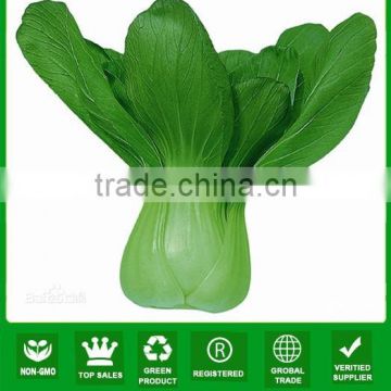 JPK11Heliu Early mature chinese hybrid pakchoi seeds f1 for sales