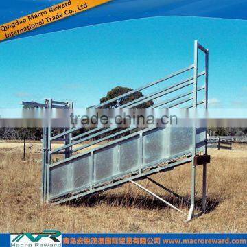 AS/NZS 304 316 4m Steel Cattle Adjustable Loading Ramp for Farms photo-2