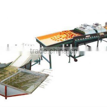 FS-QXDL fruit cleaning machine