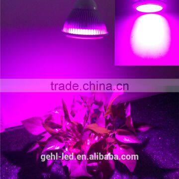 Low Price Aaa Quality High Power Hello Led Growing Light From Shenzhen Factory