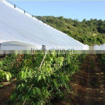Plastic Woven Cover Film, Hdpe Large Tree Cover Film for Greenhouse or Cherry Tree Protection photo-5