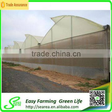 Multi-span Open Roof Green Houses photo-3