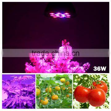 Led Hydroponic 36w Plant Lights Good for Mini Plants Indoor Growing Small Pot Cheapest Led Grow Par Light photo-2
