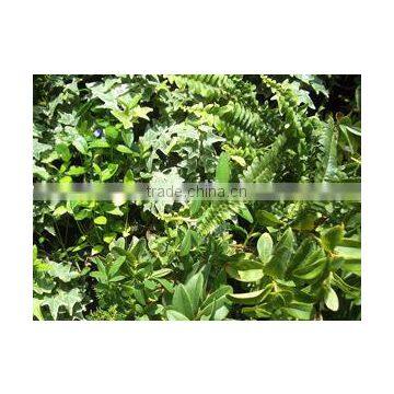 Home and Outdoor Decoration Synthetic Cheap Artificial Vertical Green Grass Wall E08 04Q85 photo-5