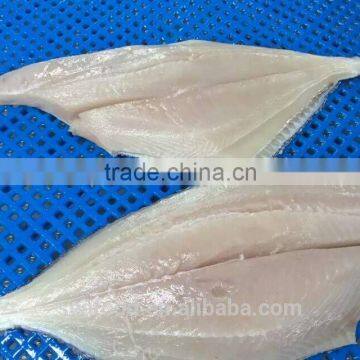 Frozen Seafood BRAMA Brama FILLET Frozen Fish