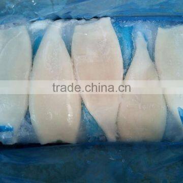 Newly Hot Selling Frozen Illex Squid Tube for Sale photo-5
