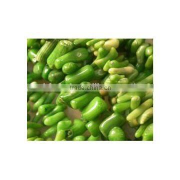 3-7mm branch shape natural green coral bead