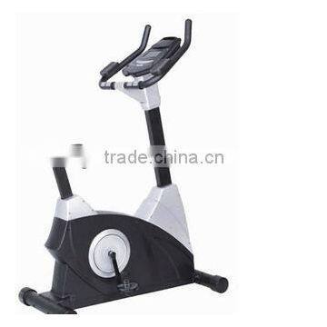 Commercial Upright Bike