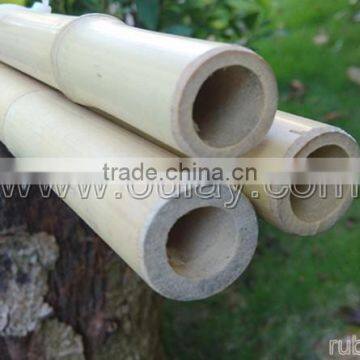 Decorative Short Bamboo Canes photo-2
