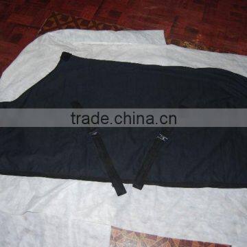 Canvas rug