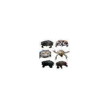 Sell Live Mud Crabs (Indonesia)