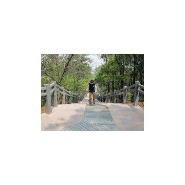 Free Shipping + New Fashion High-tech Sport Rechargeable Portable Self Balancing Unicycle photo-2