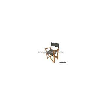 Beach Chair