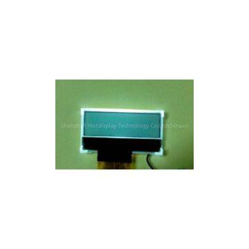 12832L-25 - COG dot matrix module