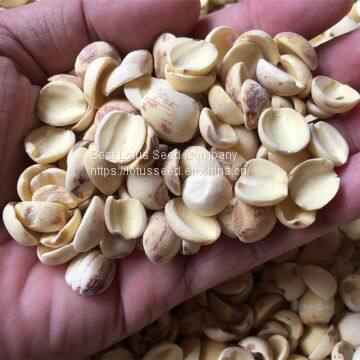 Lotus Seed Lotus Nut Lotus Kernel Dried Half White Lotus Seed Paste Health Food photo-2