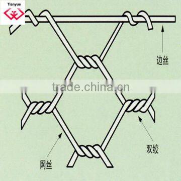 Quality Chicken Mesh Galvanized photo-4