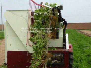 Groundnut Combine Harvester Self-propelled With 30hp Tractor photo-2