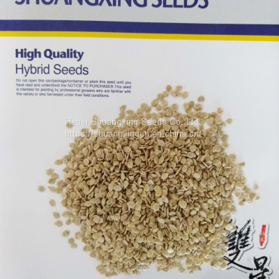 Hot Sale Processing Type Tomato Seed for Planting photo-2