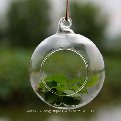 Terrarium Ball Globe Shape Clear Hanging Glass Vase Flower Plants Container Landscape DIY Wedding Home Decoration photo-3