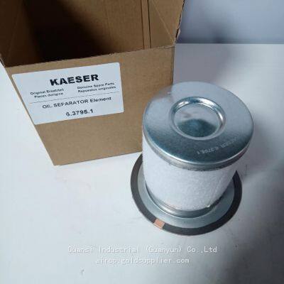 Manufacturer Kaeser oil separator 6.3795.1 industrial screw air compressor filter spare parts high quality