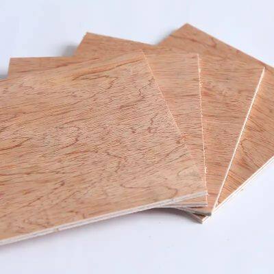 Bintangor Furniture Grade Commercial Plywood Panel 2440x1220mm photo-3