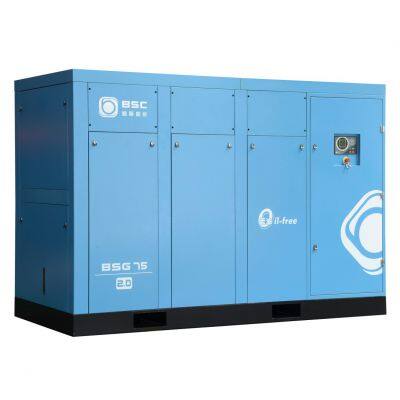 Catalytic Oil-Free Compressor Oil-Free Air-Cooled BSG Series