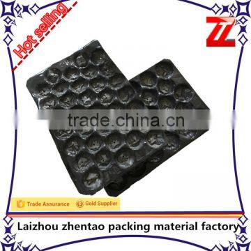 Plastic Material and PVC or PET Plastic Type PVC Fruit Packaging Tray
