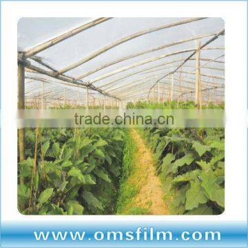 UV-anti 200 micron greenhouse film for Agriculture, Horticulture and Hydroponics system