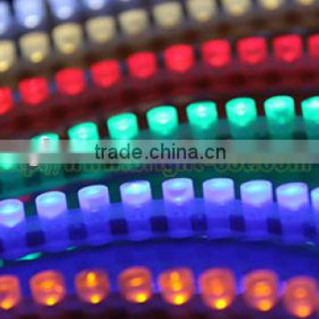 DC12V Great Wall LED Strip RGB