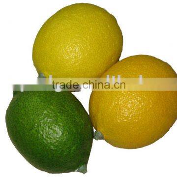 PU toy lemon