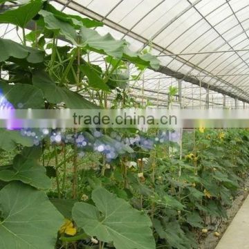 greenhouse plastic film / agriculture polyethylene plastic film for greenhouse / 200 micron greenhouse