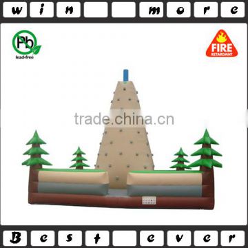 EN71 commercial rock climbing walls,children inflatable rock climbing wall,rock climbing walls for sale