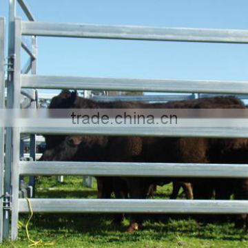 Steel pipe heavy duty cattle yards panel